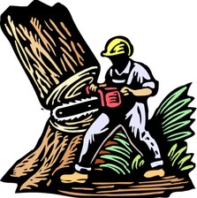 Timbers Tree Service logo