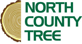 North County Tree logo