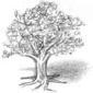 Bill's Lawn Maintenance & Landscaping, Inc. logo