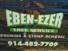 Logo for Ebenezer Tree Service