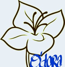 Avatar for Odora Landscaping