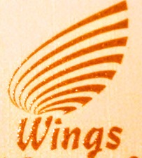 Avatar for Wings Building & Property Maintenance