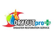 DRYOUTpro PLUS, Inc. logo