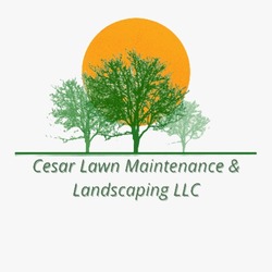 Cesar Lawn Maintenance & Landscaping LLC logo