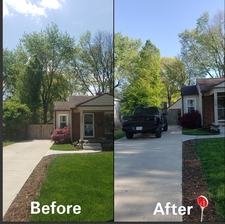 Rian's Tree Service, LLC logo