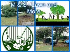 Avatar for M&S Lawn and More