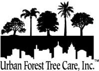 Urban Forest Tree Care, Inc. logo