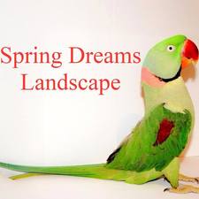Spring Dreams Landscape Company logo