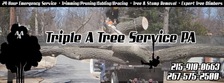 Triple AAA Tree Service PA logo