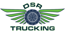Avatar for DSR Trucking and Site Clearing
