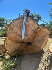 Avatar for Novak Timber Service, LLC