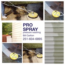 Logo for Pro Spray