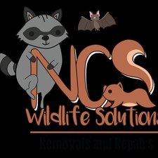 Avatar for NCS Wildlife