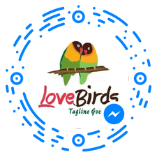 Avatar for LoveBird Janitorial Service LLC - Home Facebook