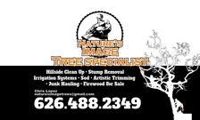 Logo for Natures Image Tree Specialists, Inc.