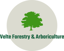 Avatar for Velte Forestry & Arboriculture