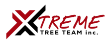Avatar for Xtreme Tree Team