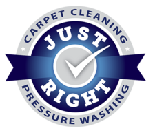 Logo for Just Right Carpet Cleaning and Pressure Washing
