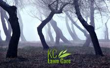 KC Lawn Care logo