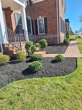Avatar for Alex Landscaping Maintenance