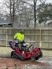 Logo for Sam's Tree Service, LLC