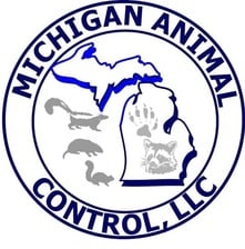 Avatar for Michigan Animal Control, LLC