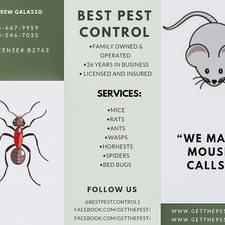 Pest Control Beverly Ma Ant Bat Mice Termite Control Beverly Ma