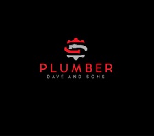 Avatar for Plumber Dave and Son, LLC
