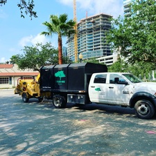 Avatar for Texas Tree & Turf Group