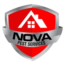Avatar for Nova Pest Services