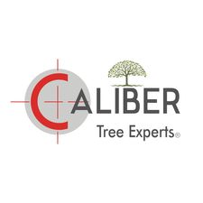 Logo for Caliber Tree Services
