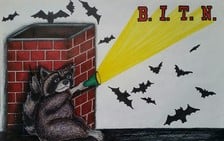 Bump In The Night Wildlife Service, LLC logo