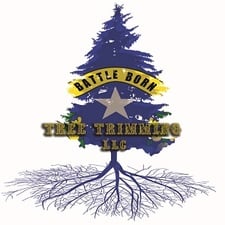 Avatar for Battle Born Tree Trimming LLC - Accueil  Facebook