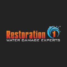 Avatar for Restoration 1 of Eastern Iowa