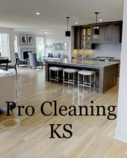 Larissa Pro Cleaning KS, LLC logo