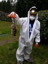 Avatar for Diversified Crawlspace Services