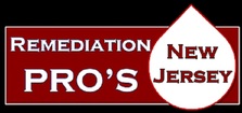 Logo for Remediation Pros, LLC