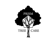 Prism Tree Care logo