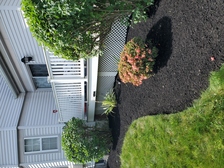 Logo for Raptors Landscaping