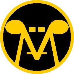 Myzzer Corporation logo