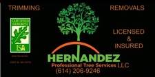 Avatar for Hernandez Pro Tree service