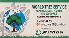 Avatar for World Tree Services