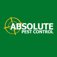 Avatar for Absolute Pest Control - Trang ch  Facebook