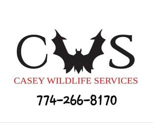 Casey Wildlife Services logo