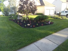 Divine landscaping  logo