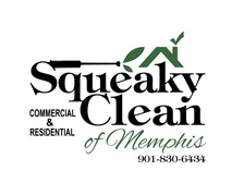 Squeaky Clean of Memphis - 375 Photos - Contractor - Memphis, TN 38120 logo