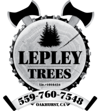 Avatar for Lepley Trees - Home  Facebook