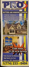 Pro Painting and Carpentry logo