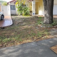 landscaping company miami sod installation absolute landscaping service inc miami fl 33165 homeadvisor landscaping company miami sod installation absolute landscaping service inc miami fl 33165 homeadvisor