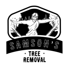 Avatar for Samson's Tree Removal, LLC